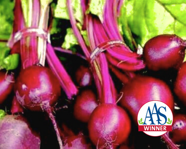 Ruby Queen Beet Seeds